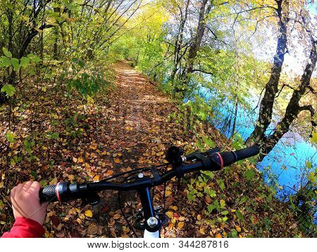 Girl Rides Bicycle Through Forest. Girl Rides Bike Along Path In Forest
