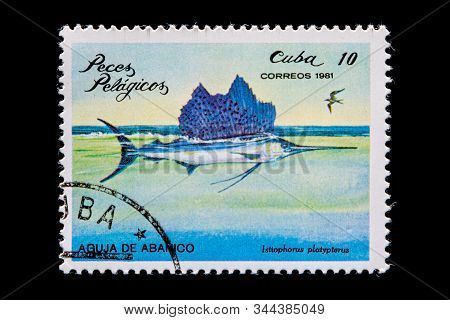 Novosibirsk, Russia - January 07, 2020: Stamp  Sea Collection Printed In Cuba Shows  Blue  Istiophor