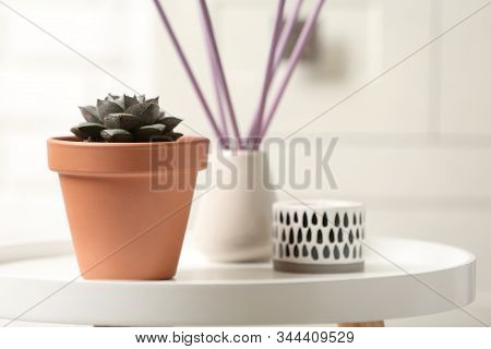 Beautiful Succulent On White Table, Space For Text. Home Plant