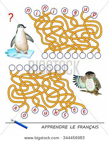 Learn French. Logic Puzzle Game With Cute Birds For Study French Language. Find Correct Places For L