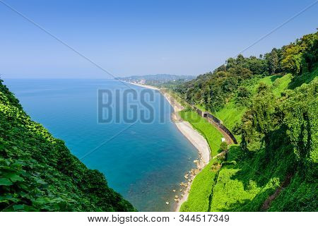 The Botanical Garden Of Batumi Located At Area Of Mtsvane Kontskhi (green Cape), Georgia.