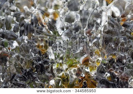 Layer Of Transparent Ice Over Mosses On Side Of Rosd Near Blowing Rock, North Carolina.