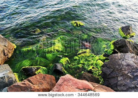 Bulgarian Black Sea In Ravda Village