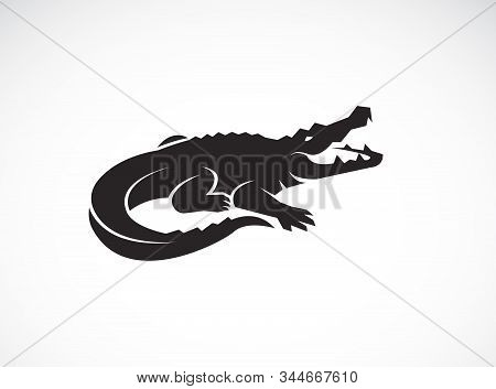 Download Vector Crocodile Vector Photo Free Trial Bigstock