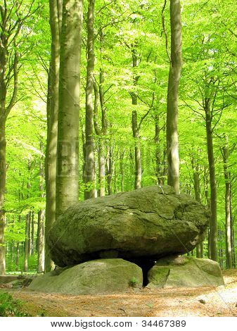 Sten dolmen i grøn beechforest