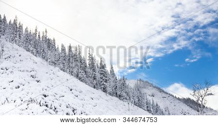 Beautiful Taiga Hills On Far East Of Russia In Early October. Taiga In Winter. Beautiful Nature. Fro