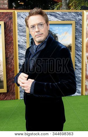 Robert Downey Jr. at the Los Angeles premiere of 'Dolittle' held at the Regency Village Theatre in Westwood, USA on January 11, 2020.