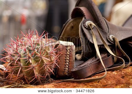 Silla de montar y Cactus