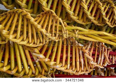 Czech Easter Pussywillow Twigs As Nice Holiday Background