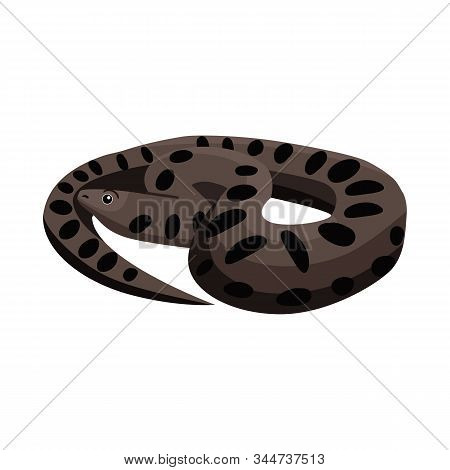 Isolated Object Of Python And Reptile Sign. Graphic Of Python And Long Stock Vector Illustration.