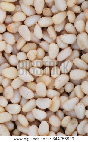 Many Cedar Nut  At Dry Sunny Summer Day