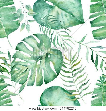 Monstera Fern And Eucalyptus Leaves Hand Drawn Seamless Pattern Illustration. Trendy Tropical Plant 