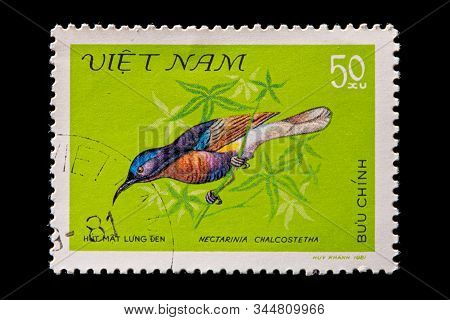 Novosibirsk, Russia - January 07, 2020: Stamp Nature Collection Printed In  Vietnam Shows Adult Gree