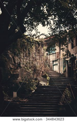 Stairs and tree in Xiahao Old street in Chongqing, China.