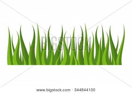 Beautiful Green Grass Field For Your Project