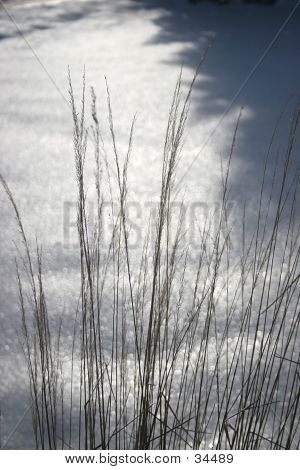 Studio luce