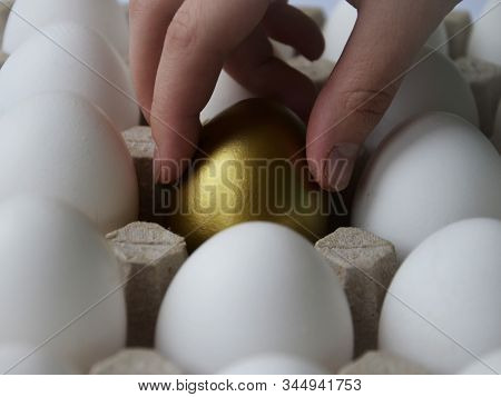 The Human Hand Takes The Golden Egg Among The Whites. Concept.  A Person Chooses The Right, Successf