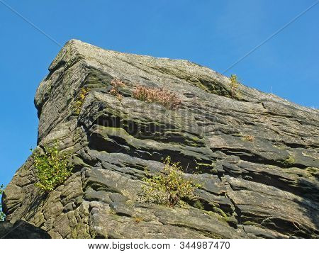A Rough Grey Sandstone Moorland Outcrop With Heather And Plants Growing N The Cracks Against A Brigh