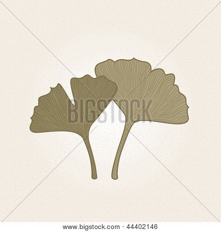 Hojas de Gingko dibujado a mano retro aislados sobre fondo marrón