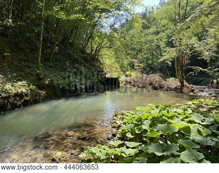Small Mountain River Gerovčica, Zamost - Region Of Gorski Kotar, Croatia (mala Gorska Rijeka Gerovči