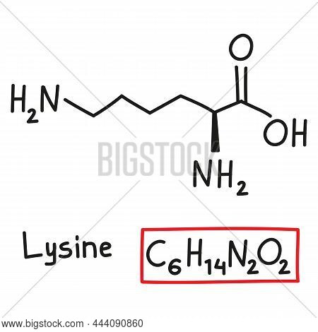 Hand Drawn Chemical Molecular Formula Of Amino Acid Lysine In Doodle Style Isolated.