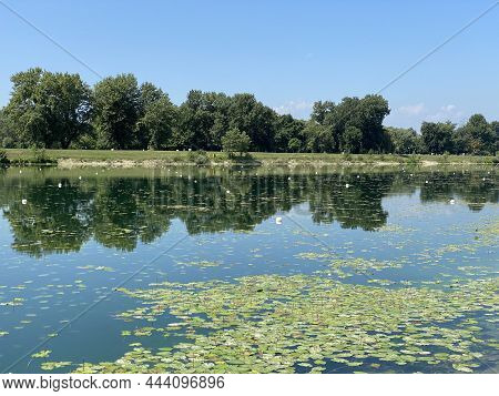 Rowing Trail On Lake Jarun And Croatian Youth Island During The Summer, Zagreb - Croatia (veslačka S