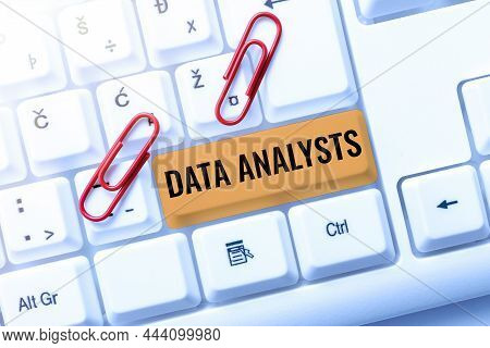 Conceptual Caption Data Analysts. Concept Meaning Programmer Design And Create Report Identifies Pat