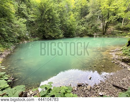Karst Spring Of The River Kupa Or Natural Monument Source Of The River Kupa In The Region Of Gorski 