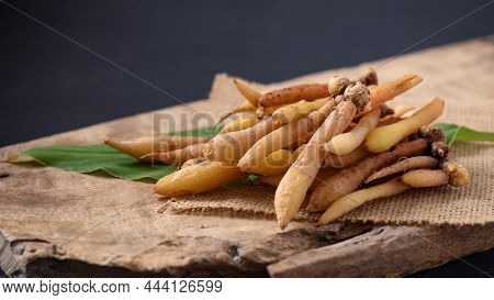 Fresh Kaempferia Or Fingerroot, Organic Herbal Plant Phytochemical And Medicinal Properties, Food In