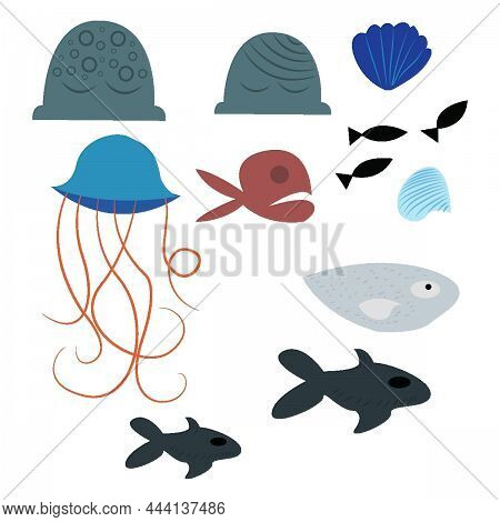 Fishes Jelly Fish With The White Background