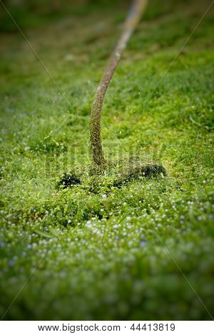 Gartenarbeit