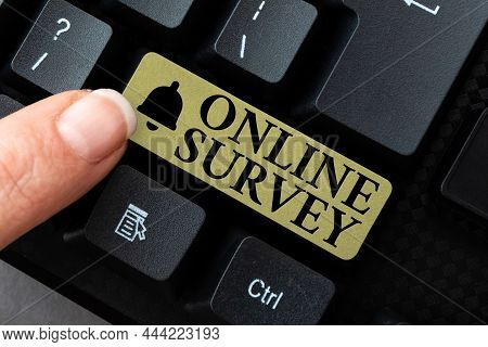 Hand Writing Sign Online Survey. Business Showcase Reappraisal Feedback Poll Satisfaction Rate Testi