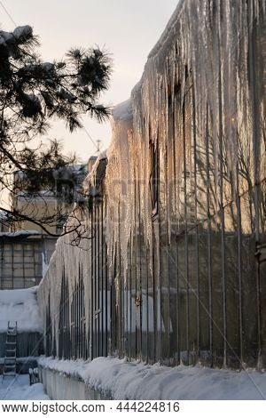 Large And Long Dangerous Icicles Hanging Off Of Greenhouse Eaves On Frosty Day, Ice Dam On Glasshous