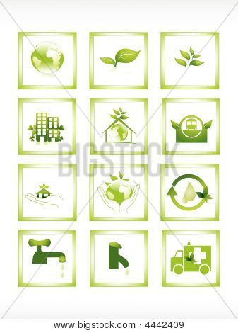 Elementi di ecologia