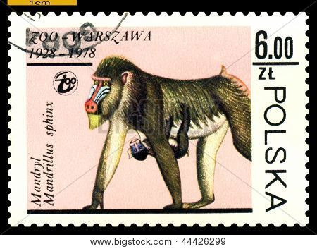 Selo vintage. Mandril.