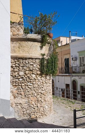 Visning af Mottola. Puglia. Italien.
