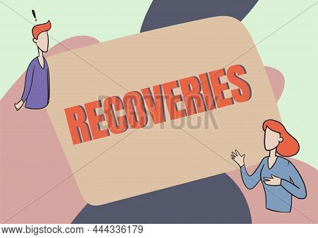 Text Showing Inspiration Recoveries. Business Overview Process Of Regaining Possession Or Control Of