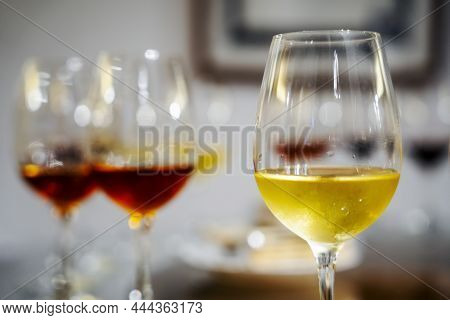 Variety Of Wines During Wine Tasting In The Winery In Portugal