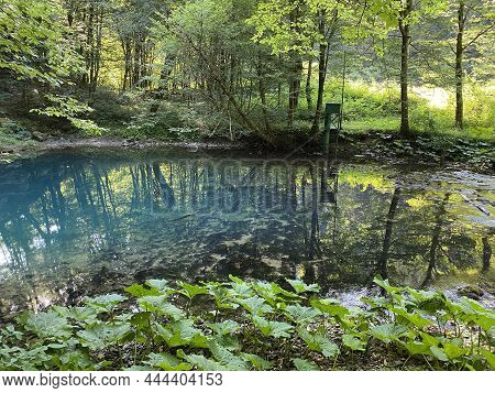 The Source Of The River Kupica Or The Spring Of Kupica, Donje Tihovo - Gorski Kotar County, Croatia 