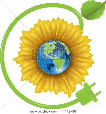 Girasol y globo