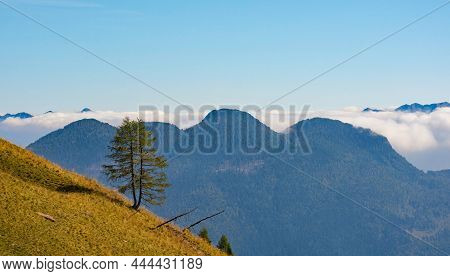 Sauris Valley Viewed From The Slopes Of Monte Morgenleit. Near Sauris Di Sopra, Udine Province, Friu