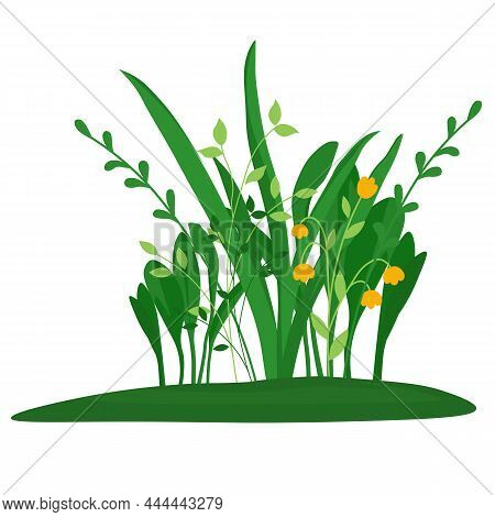 Green Grass Vector Stock Illustration. Meadow, Wildflowers. A Bush Of Plants. Landscape. Isolated On