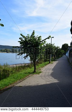 Waterfront Way At The Rhine In Summer