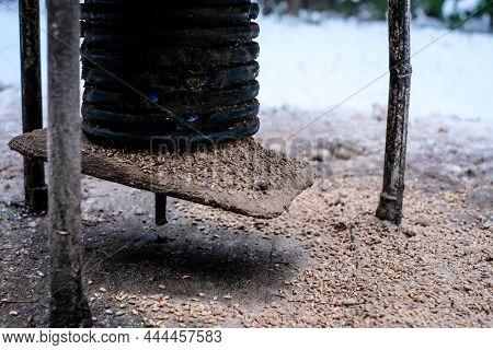 Manger For Winter Feeding Of Wild Animals In Forest. Forest Animal Feeder In Winter. Defocused