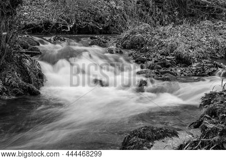 Horner Woods In Somerset