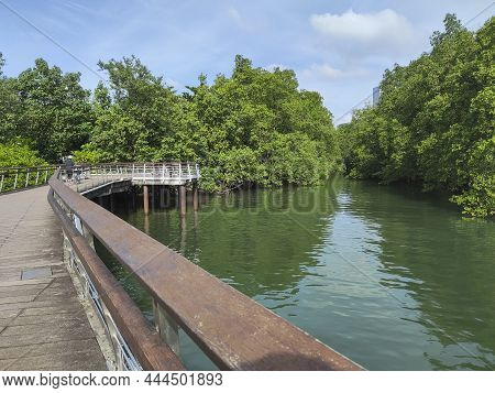 Singapore Dec 29 2021: View Of Bukit Chermin Boardwalk In Singapore. It Is Built On The Sea Along Th