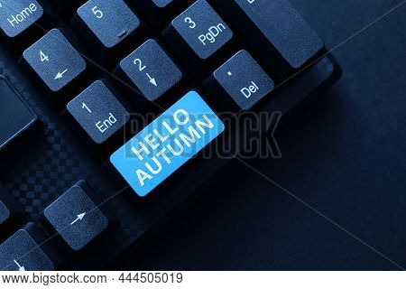 Sign Displaying Hello Autumn. Internet Concept That Weather Begins To Get Colder And Trees Shed Thei