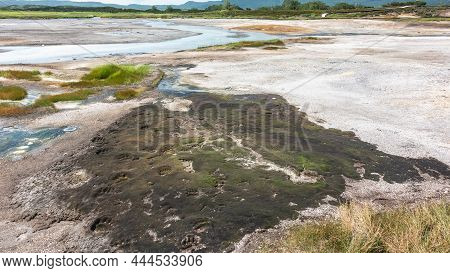 There Are Hot Springs In The Caldera Of An Extinct Volcano. Sulphurous Deposits On The Soil Are Visi