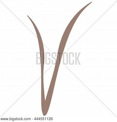 Grass Isolated On A White Background. For Drawing Up Postcards, Compositions, Labels And Patterns