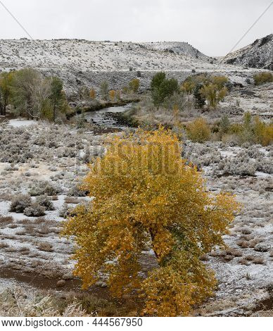Fall Colors Under Fresh Snow With A River In The Background
